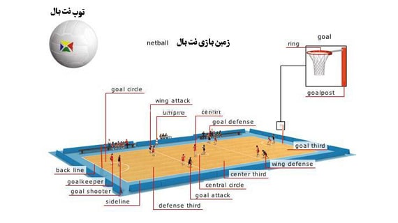 قوانین نت بال